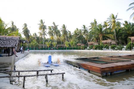 Teambuilding Development Series